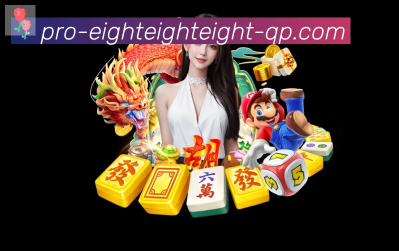 未来规划